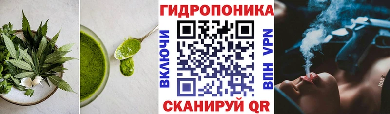Canna-Cookies конопля  Купить где  Кирс 