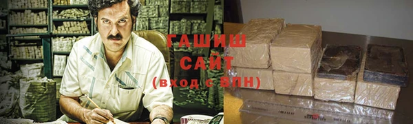 spice Богородицк