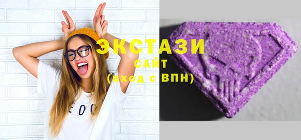 spice Богородицк