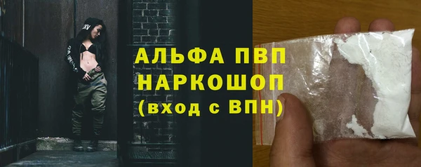 spice Богородицк