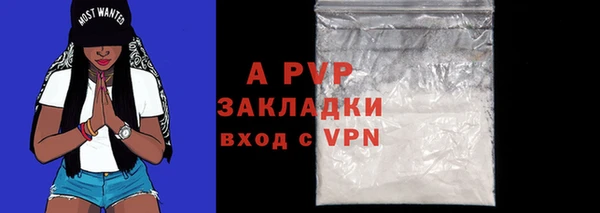 spice Богородицк