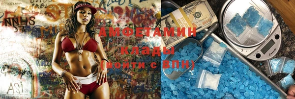 spice Богородицк