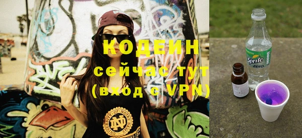 spice Богородицк