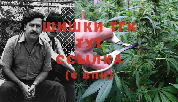 дурь Богданович