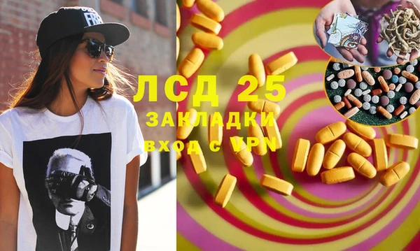 spice Богородицк