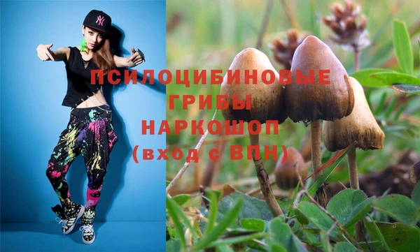 спиды Бородино