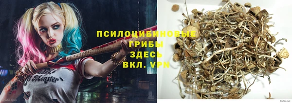 дурь Богданович