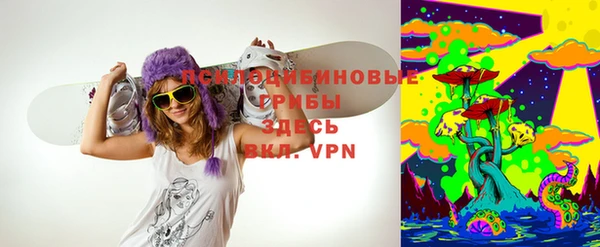 спиды Бородино